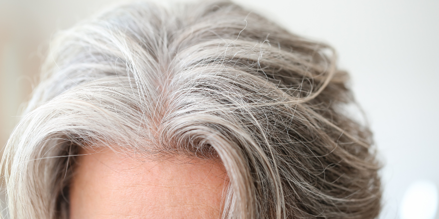 STEP ELEVEN Adding Grey Hair to Your Hair System